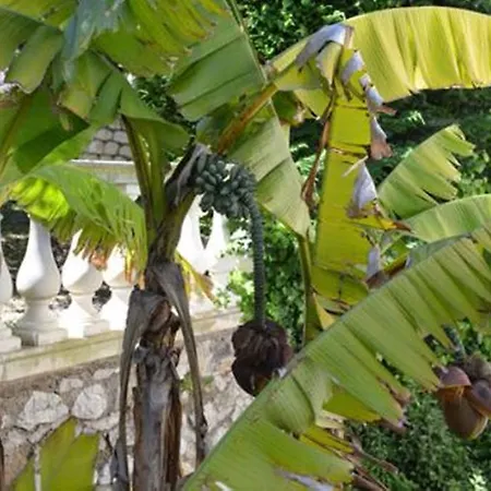 Villa Eden Cap *